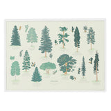 Canadian Trees Arboretum Art Print 24x36" Art Print
