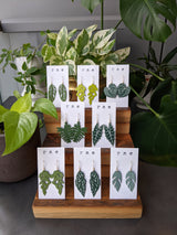 Anthurium Clarinervium Leaf Earrings