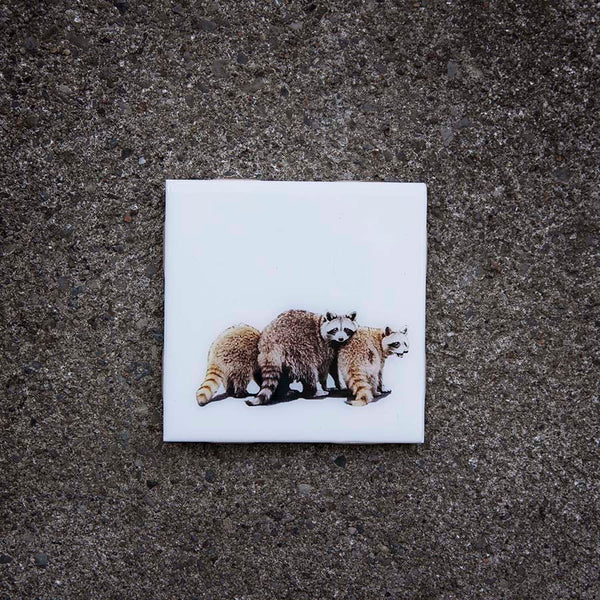 Resurfaced - Raccoons Tile Coaster