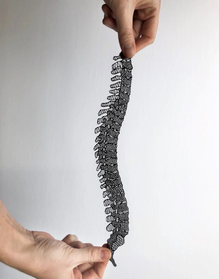 Anatomical Spine (black) Papercut Art