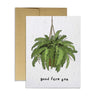 Plantable Greeting Card Pack