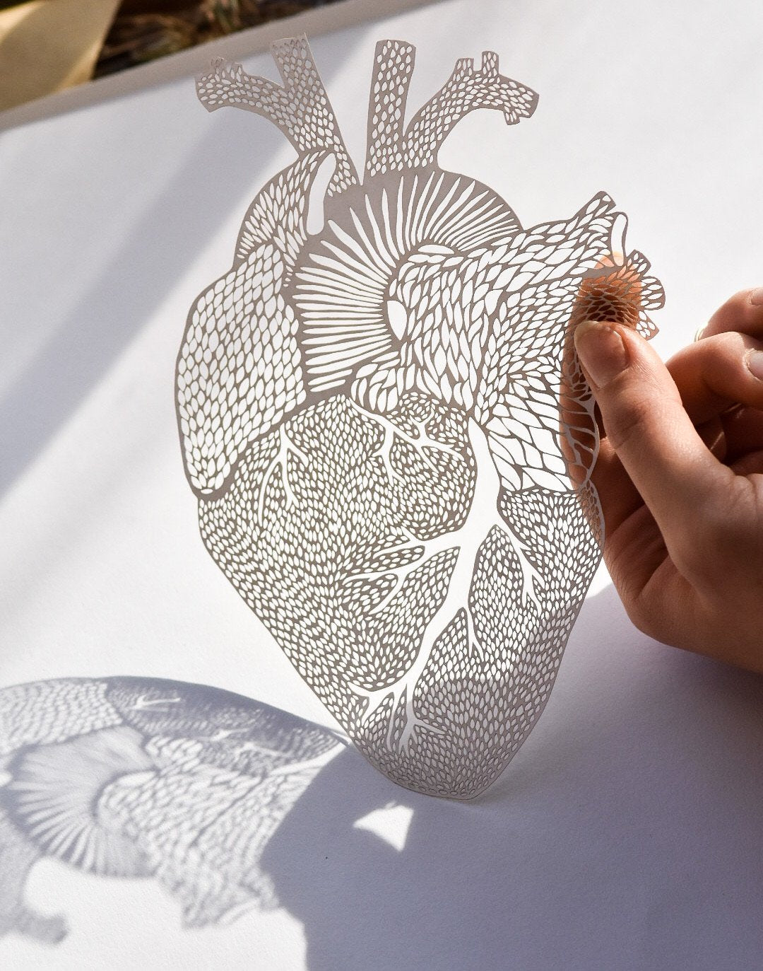 Anatomical Heart (white) Papercut Art