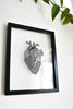 Light + Paper Studio - ANATOMICAL HEART PAPERCUTTING ARTWORK