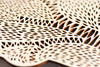 Light + Paper Studio - ANATOMICAL LUNGS WOODEN ARTWORK
