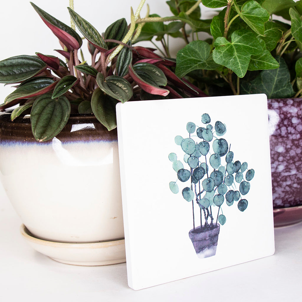 Natural Stone Coasters - Potted Pilea Plant