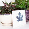 Natural Stone Coasters - Cissus Rhombifolia Plant