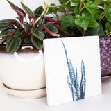 Natural Stone Coasters - Square Snake Plant