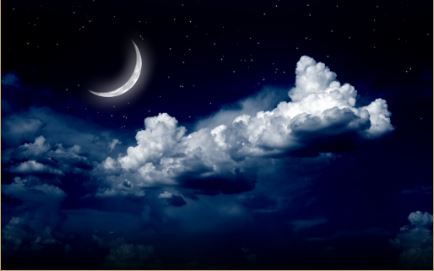 Essential Oil Blend - Sleep