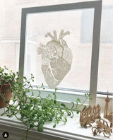 Anatomical Heart (white) Papercut Art